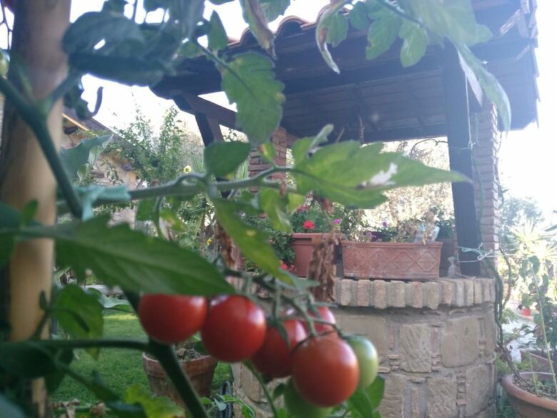 Agroturismo L'uliveto