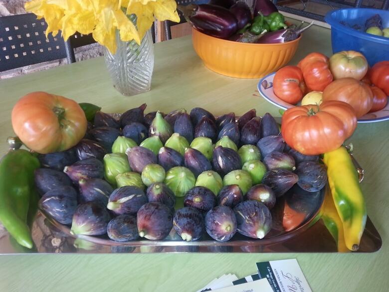 Agroturismo L'uliveto