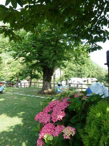 Campeggio Parco Dei Castagni