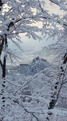 Campeggio Parco Dei Castagni