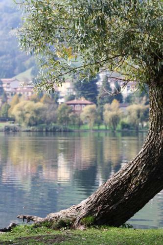 B&B Notte E D�