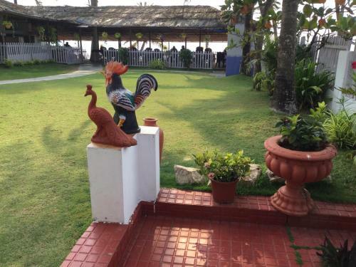 Hostal Anthy?s Guesthouse And Restaurant