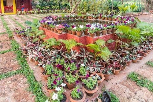 Hotel Chandaka Nature Resort
