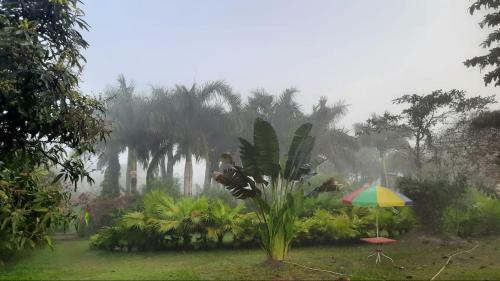 Hotel Chandaka Nature Resort