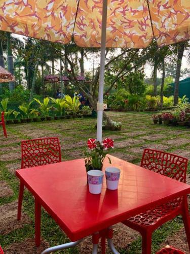 Hotel Chandaka Nature Resort
