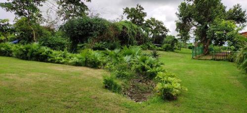 Hotel Chandaka Nature Resort