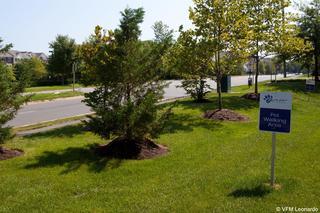 Hotel Candlewood Suites Washington-dulles Herndon