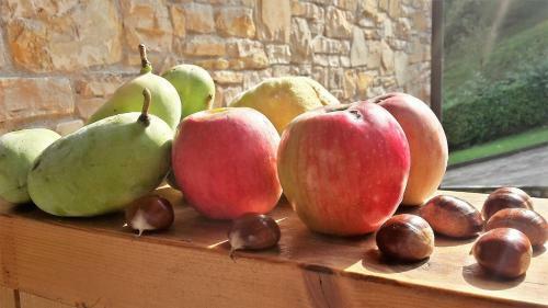 Agroturismo Casa Martina B&B