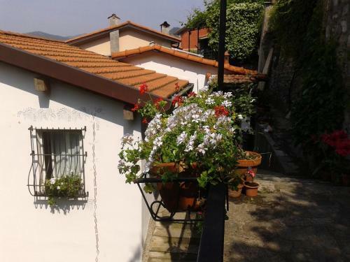 B&B I Glicini