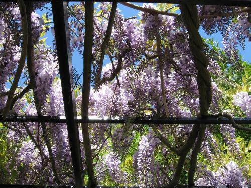 B&B I Glicini
