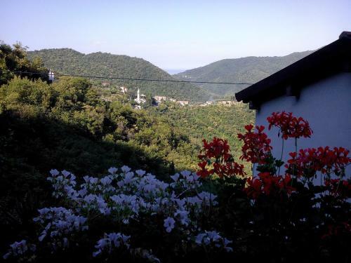 B&B I Glicini