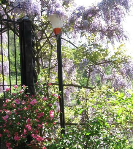 B&B I Glicini