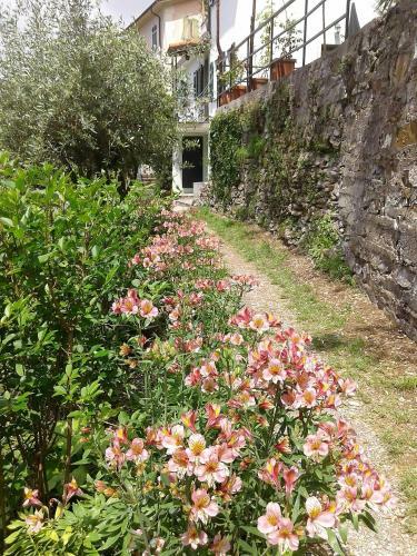 B&B I Glicini