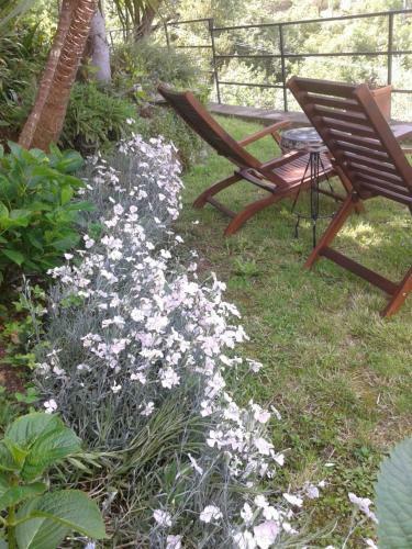 B&B I Glicini
