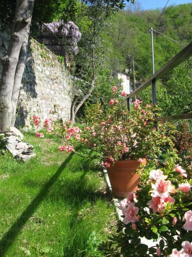B&B I Glicini