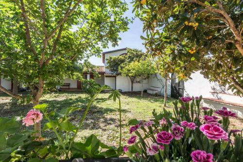 Apartamento Abba Arrubia