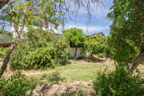 Apartamento Abba Arrubia