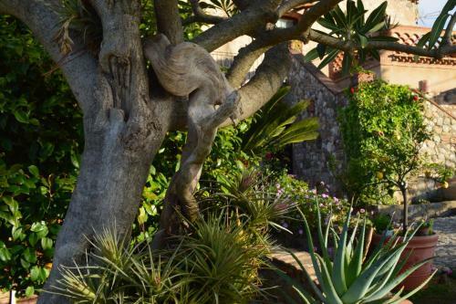 Bed & Breakfast Villa Quiete