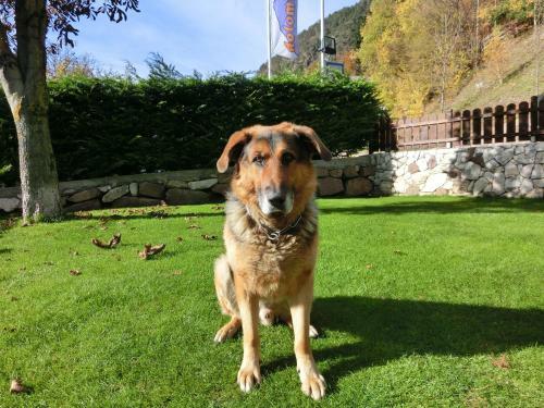 Hotel Zur M�hle