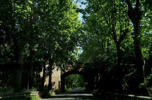Hostal Agriturismo Casale R�