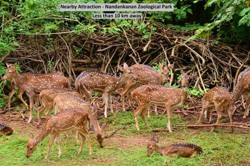 Hotel Oyo 48449 Khandai Palace