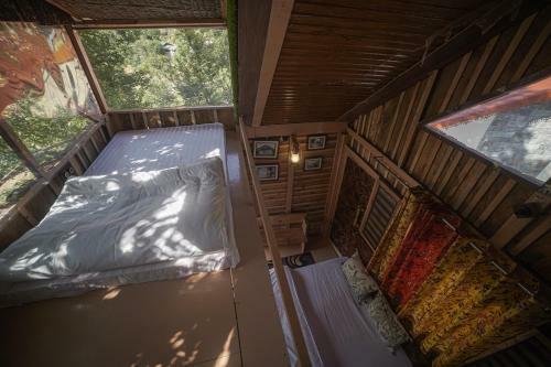 Hotel Tiger Fall Eco Resort