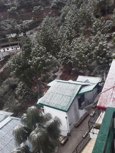 Hampstead Residences Pinewood Kasauli