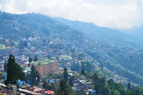 Hotel Pinetree Mall Road - Darjeeling