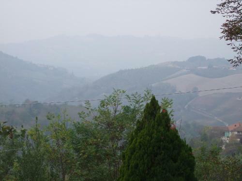 Bed & Breakfast Casa Branzele