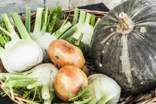 Agroturismo Azienda Agrituristica Alcastl�