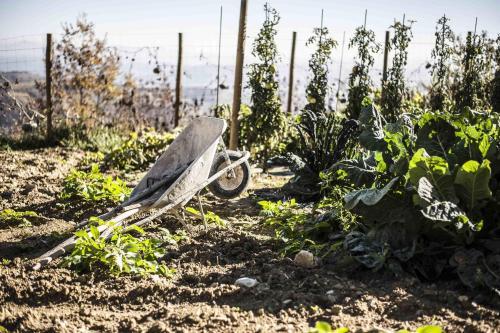 Agroturismo Azienda Agrituristica Alcastl�