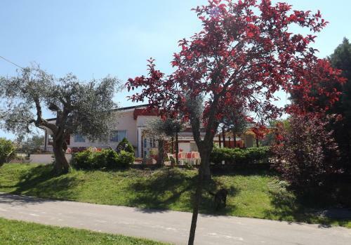 B&B Villa Lena