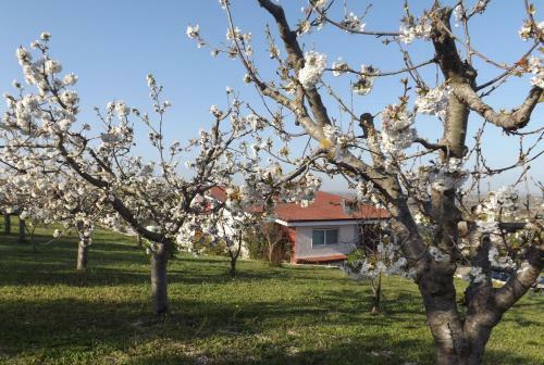 B&B Villa Lena