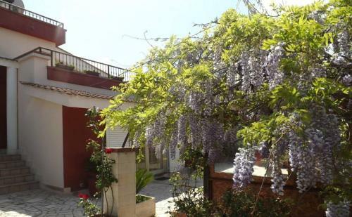 B&B Villa Lena