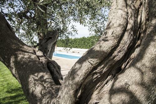Hotel Masseria Gravelle