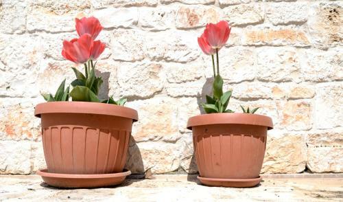 Hotel Masseria Gravelle