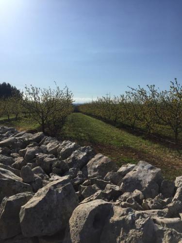 Hotel Masseria Gravelle