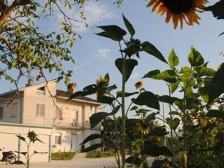 B&B Villa Ceccarini Fonte D'oro