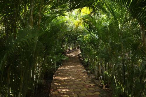 Hotel Morjim Beach Resort