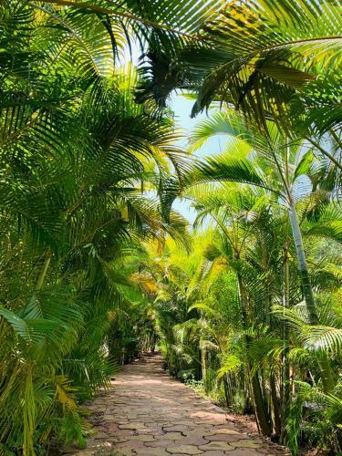 Hotel Morjim Beach Resort