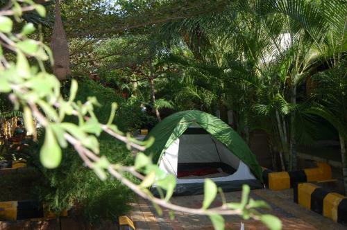 Hotel Megha Resort , Anegundi