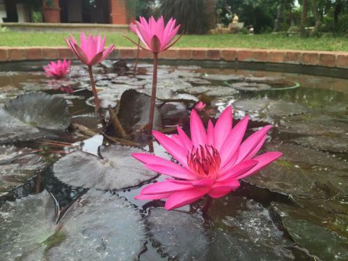Hotel The Hideaway Hosur