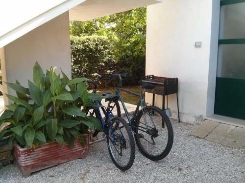 Apartamento Salento Case Vacanze