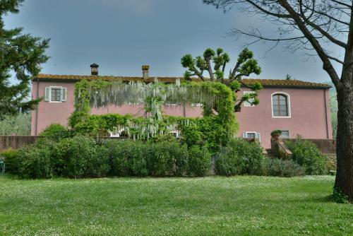 Bed & Breakfast B & B San Jacopo
