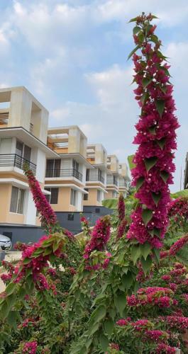 Villa Royal Meadows - Igatpuri Bungalow B
