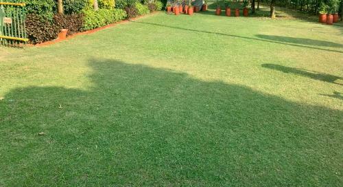 Hotel Somdeep Palace