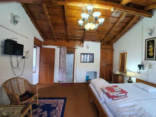 Hotel Resort With Mesmerizing Mountain Views & Pine Trees
