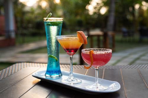 Hotel Wild Berry Resort Agonda