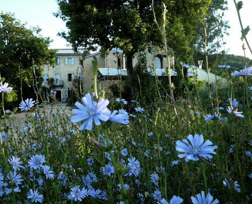 Agroturismo Casadesergio