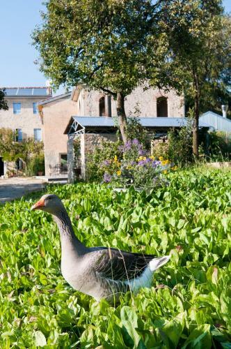 Agroturismo Casadesergio